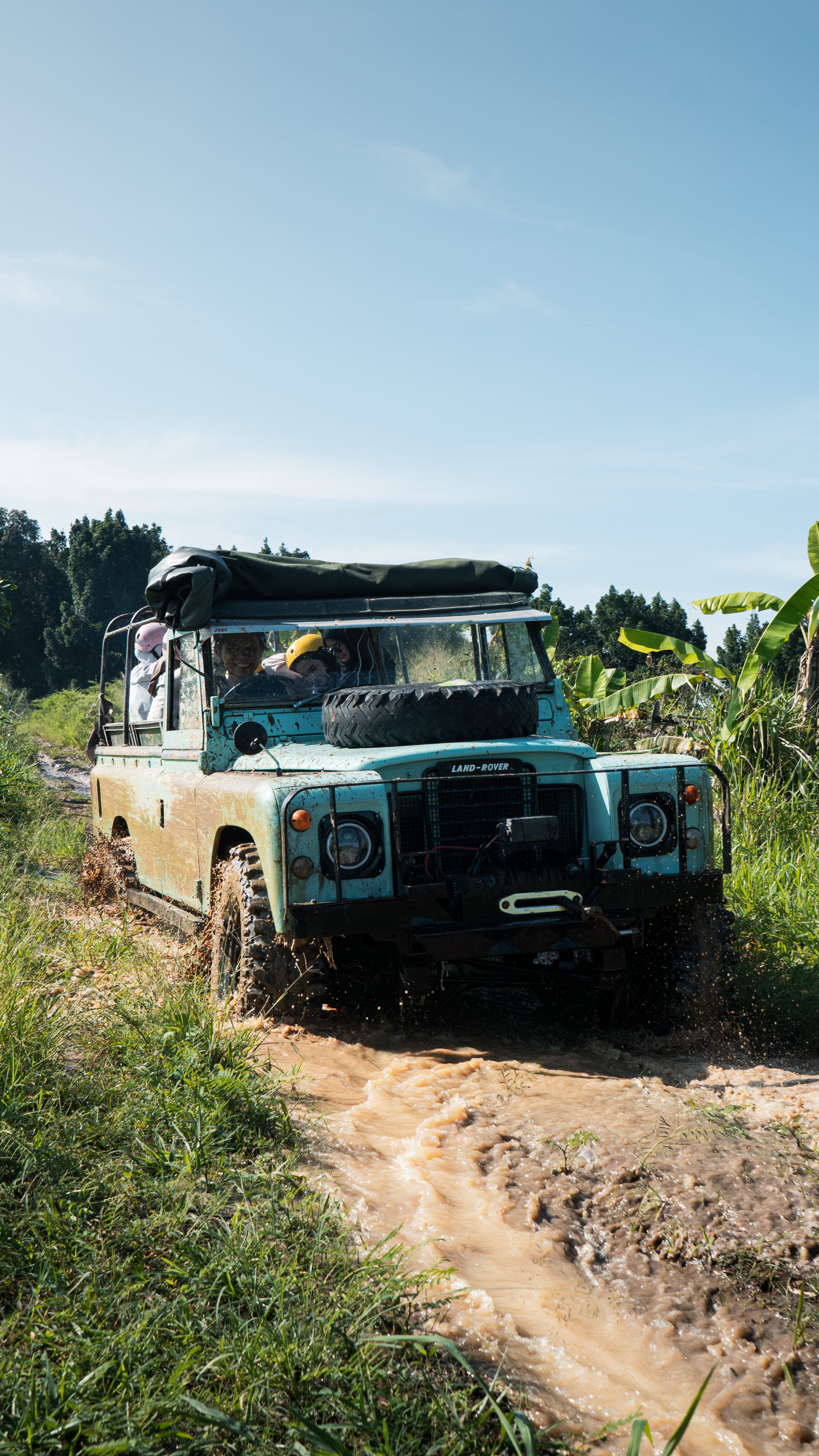 Mountains in the Clouds